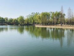 -石家庄市植物园