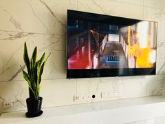 -龙大花卉苗木市场