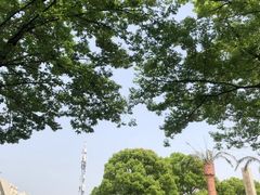 -上海月湖雕塑公园