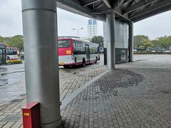 -上海大学生体育中心游泳馆(松江店)