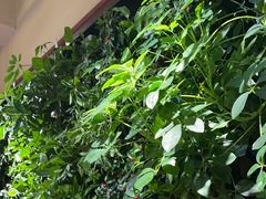 -巴奴毛肚火锅(广益哥伦布店)