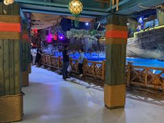 -海合安青岛极地海洋公园