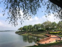 -丁香湖公园
