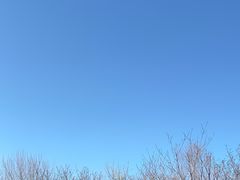 -秦始皇帝陵博物院-丽山园