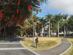 -华侨公园