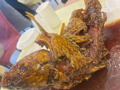 挣蹦鲤鱼-奥华餐厅·老张记(台基厂店)