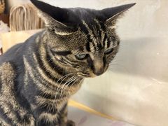 -世纪星滑冰俱乐部(万象城店)