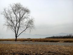 -野鸭湖国家湿地公园