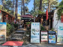 -小小饭店·休闲农庄·安吉松树林里的农家菜