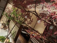 -揽季锅物会.福建黄鱼.海鲜姿造(五四路店)