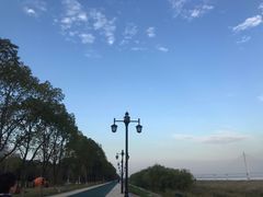 -盘龙城国家考古遗址公园