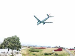 -空港花田景区