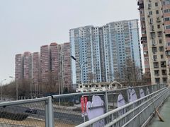 -芍药居北里