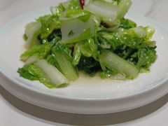 -瑞琳阿尔泰冷水鱼(康源财富中心店)