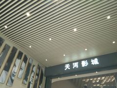 -汉阳天河电影城(王家湾店)