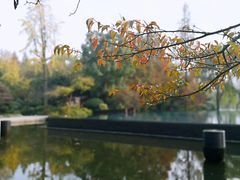 -杭州西子湖四季酒店-WL BISTRO西湖餐厅(灵隐路店)