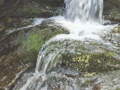 -香炉山国家森林公园