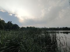 -北坞公园