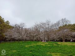 -共青国家森林公园-售票处