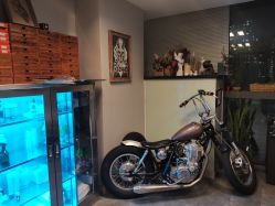 -極致刺青TATTOO STUDIO 私人订制