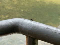 -藏龙百瀑漂流
