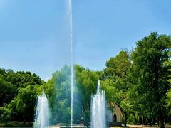 -上海共青森林公园