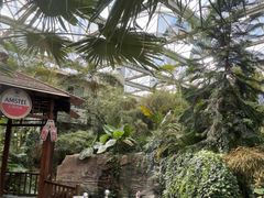 -忆江南·生态餐饮宴会酒店