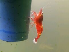 -艾溪湖湿地公园