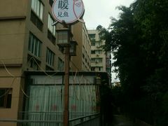 -暖见鱼·自家农场生态鱼