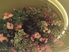 -狼头山火锅 KTV欢唱·烤串(理工大学店)