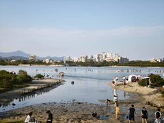 -广东惠东海龟国家级自然保护区