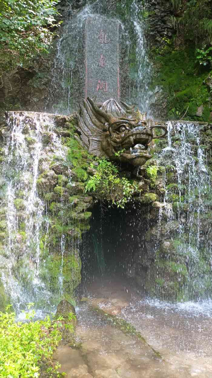 天津九龙山国家森林公园-"住在景点附近,和家人一起来这里游玩,乘车.