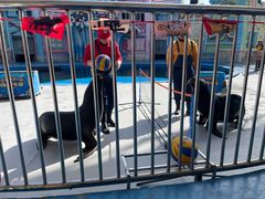 -华夏文旅海洋公园