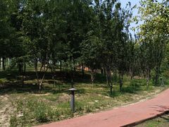 -马家湾湿地公园