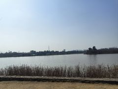 -张鲫鱼家常菜