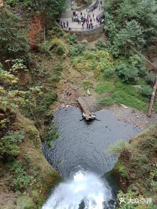 Multnomah Falls Lodge Restaurant图片