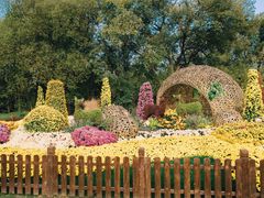 -上海共青森林公园