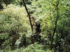 -青城山