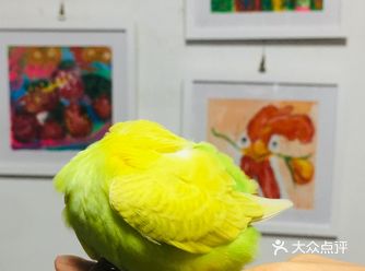 盛得我心啊，来了好几次了