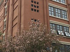 -北京八中游泳馆