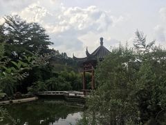 -广州神农草堂中医药博物馆