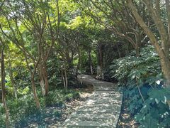 -虞山城墙