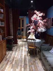 -星豆豆儿童摄影(南郊太白南路店)