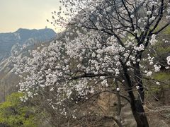 -北京凤凰岭