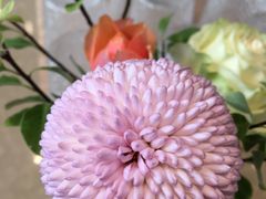 -EVERNAKED裸蛋糕(SOHO天山店)