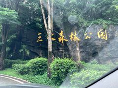 -三水森林公园