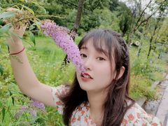 -牛背梁国家森林公园