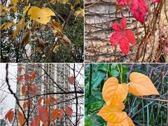 -苏州河梦清园环保主题公园