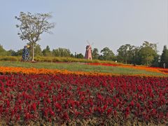 -同里国家湿地公园