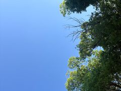-嘉北郊野公园
